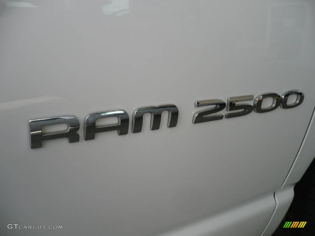 2006 Ram 2500 SLT Quad Cab 4x4 - Bright White / Medium Slate Gray photo #16