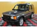 2001 Bonatti Gray Land Rover Discovery II SE  photo #3