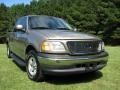 2001 Arizona Beige Metallic Ford F150 XLT SuperCrew  photo #5