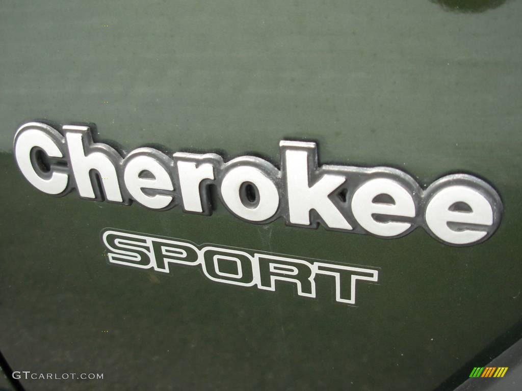 1996 Cherokee Sport - Moss Green Pearl / Gray photo #27