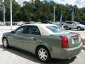 Silver Green - CTS Sedan Photo No. 5