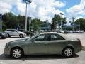 Silver Green - CTS Sedan Photo No. 6