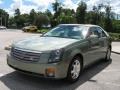 Silver Green - CTS Sedan Photo No. 7