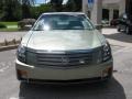 Silver Green - CTS Sedan Photo No. 8