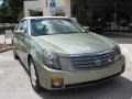 Silver Green - CTS Sedan Photo No. 9