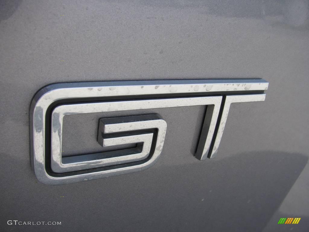 2006 Mustang GT Premium Coupe - Tungsten Grey Metallic / Red/Dark Charcoal photo #6