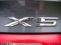 2003 Steel Grey Metallic BMW X5 3.0i  photo #9