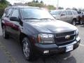 2009 Black Granite Metallic Chevrolet TrailBlazer LT 4x4  photo #2