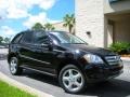 2008 Black Mercedes-Benz ML 350 4Matic  photo #4