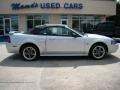 2004 Silver Metallic Ford Mustang GT Convertible  photo #27