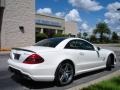 2009 designo Magno Cashmere Matte White Mercedes-Benz SL 63 AMG Roadster  photo #6