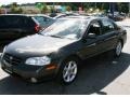 Gray Lustre Metallic - Maxima SE Photo No. 1