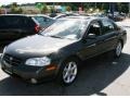 2001 Gray Lustre Metallic Nissan Maxima SE  photo #1