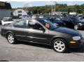 2001 Gray Lustre Metallic Nissan Maxima SE  photo #4