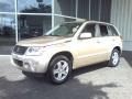 Clear Beige Metallic - Grand Vitara Luxury Photo No. 18