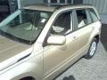 Clear Beige Metallic - Grand Vitara Luxury Photo No. 20