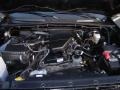 Black Sand Pearl - Tacoma Access Cab Photo No. 21