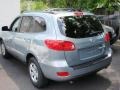Bright Silver - Santa Fe GLS 4WD Photo No. 6