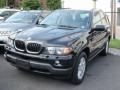 Jet Black - X5 3.0i Photo No. 1