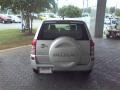 Quicksilver Metallic - Grand Vitara  Photo No. 4