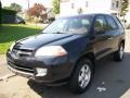 2003 Nighthawk Black Pearl Acura MDX   photo #1