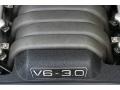 Canvas Beige Metallic - A6 3.0 Sedan Photo No. 27