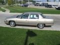 Light Driftwood Metallic - DeVille Sedan Photo No. 3