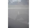Silver Birch Metallic - Suburban 1500 LS Photo No. 11
