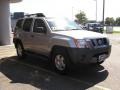 2006 Silver Birch Metallic Ford Explorer XLT 4x4  photo #3