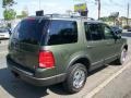 2003 Estate Green Metallic Ford Explorer XLT 4x4  photo #5
