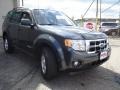 2008 Black Pearl Slate Metallic Ford Escape XLT  photo #7