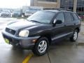 2002 Black Obsidian Hyundai Santa Fe GLS  photo #7