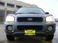 2002 Black Obsidian Hyundai Santa Fe GLS  photo #9