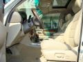 Sand Dollar Pearl - LX 470 Photo No. 9