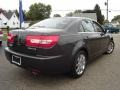 2006 Charcoal Beige Metallic Lincoln Zephyr   photo #5