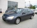 2006 Graphite Pearl Honda Accord EX-L Sedan  photo #2