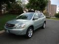 Bamboo Green Pearl - RX 350 AWD Photo No. 1