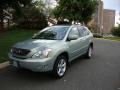 2007 Bamboo Green Pearl Lexus RX 350 AWD  photo #1