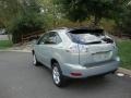 2007 Bamboo Green Pearl Lexus RX 350 AWD  photo #2