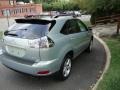 2007 Bamboo Green Pearl Lexus RX 350 AWD  photo #3