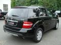 Black - ML 350 4Matic Photo No. 4