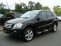 Black - ML 350 4Matic Photo No. 1