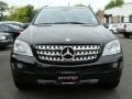 Black - ML 350 4Matic Photo No. 2