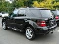 Black - ML 350 4Matic Photo No. 6