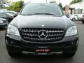 Black - ML 350 4Matic Photo No. 2