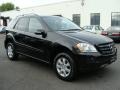 Black - ML 350 4Matic Photo No. 3