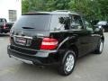 Black - ML 350 4Matic Photo No. 4