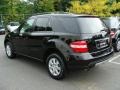 Black - ML 350 4Matic Photo No. 6
