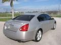 Liquid Silver Metallic - Maxima 3.5 SE Photo No. 16