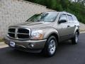 2006 Light Khaki Metallic Dodge Durango SLT 4x4  photo #1